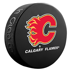 BASIC PUCK  FLAMES