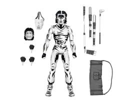 NE54387-TMNT (MIRAGE) - 7