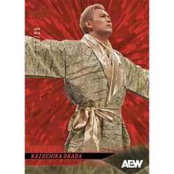 UDAEW25-2025 UPPER DECK ALL ELITE WRESTLING