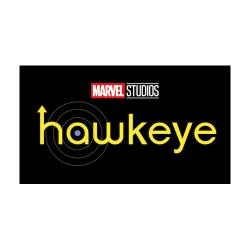 UDMAHAW23-2023 MARVEL HAWKEYE TRADING CARDS